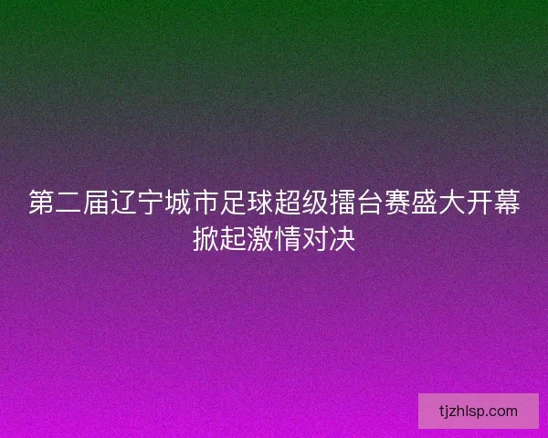 第二届辽宁城市足球超级擂台赛盛大开幕掀起激情对决