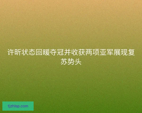许昕状态回暖夺冠并收获两项亚军展现复苏势头